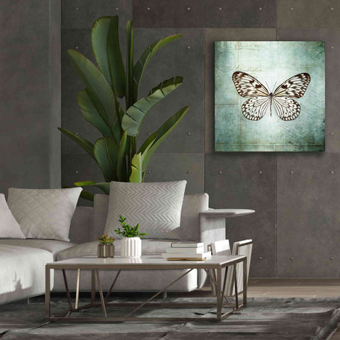 Image of 'French Butterfly V' by Debra Van Swearingen, Canvas Wall Art,37 x 37