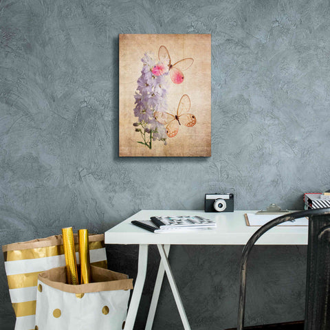 Image of 'Butterfly Botanical I' by Debra Van Swearingen, Canvas Wall Art,12 x 16