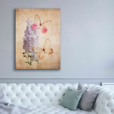 Image of 'Butterfly Botanical I' by Debra Van Swearingen, Canvas Wall Art,40 x 54