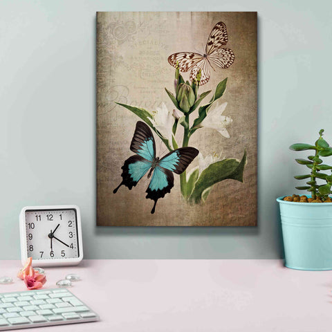 Image of 'Butterfly Botanical II' by Debra Van Swearingen, Canvas Wall Art,12 x 16