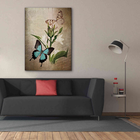 Image of 'Butterfly Botanical II' by Debra Van Swearingen, Canvas Wall Art,40 x 54