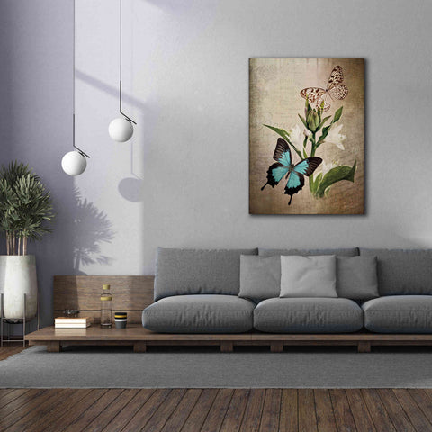 Image of 'Butterfly Botanical II' by Debra Van Swearingen, Canvas Wall Art,40 x 54