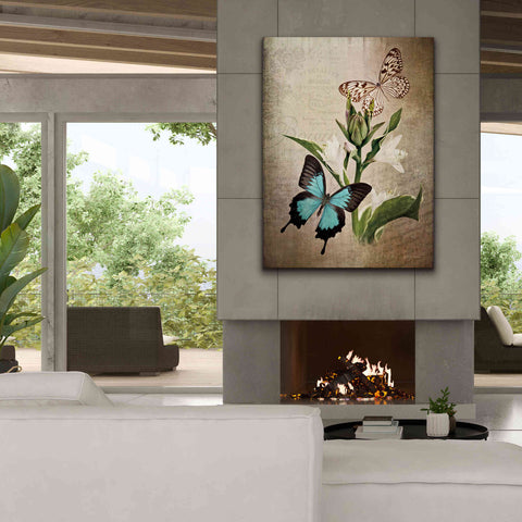 Image of 'Butterfly Botanical II' by Debra Van Swearingen, Canvas Wall Art,40 x 54