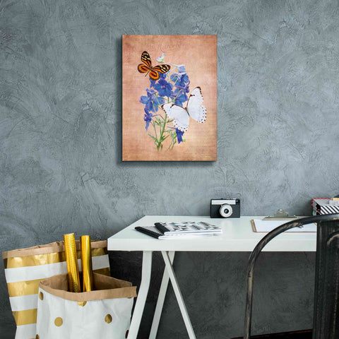 Image of 'Butterfly Botanical III' by Debra Van Swearingen, Canvas Wall Art,12 x 16