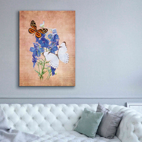 Image of 'Butterfly Botanical III' by Debra Van Swearingen, Canvas Wall Art,40 x 54