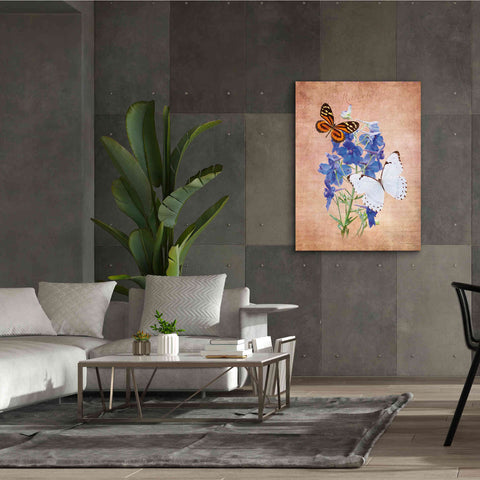 Image of 'Butterfly Botanical III' by Debra Van Swearingen, Canvas Wall Art,40 x 54