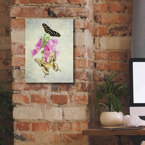 Image of 'Butterfly Botanical IV' by Debra Van Swearingen, Canvas Wall Art,12 x 16
