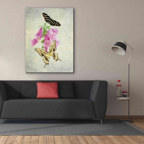 Image of 'Butterfly Botanical IV' by Debra Van Swearingen, Canvas Wall Art,40 x 54