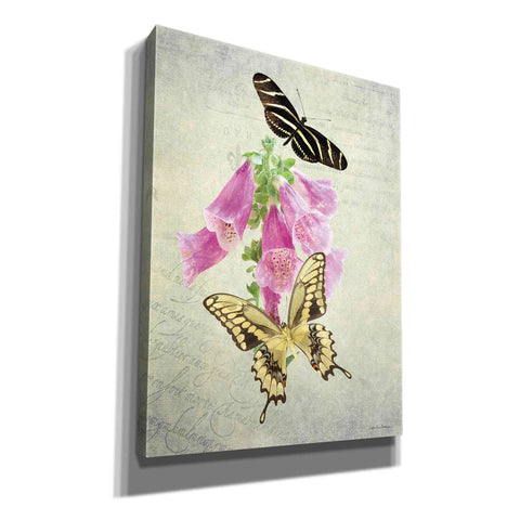 Image of 'Butterfly Botanical IV' by Debra Van Swearingen, Canvas Wall Art,12x16x1.1x0,20x24x1.1x0,26x30x1.74x0,40x54x1.74x0