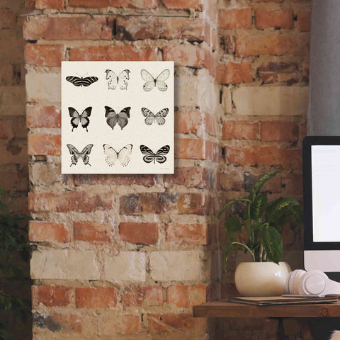 Image of 'Butterfly BW 9 Patch' by Debra Van Swearingen, Canvas Wall Art,12 x 12