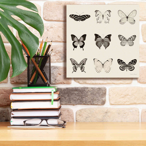 Image of 'Butterfly BW 9 Patch' by Debra Van Swearingen, Canvas Wall Art,12 x 12