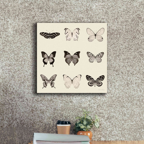 Image of 'Butterfly BW 9 Patch' by Debra Van Swearingen, Canvas Wall Art,18 x 18