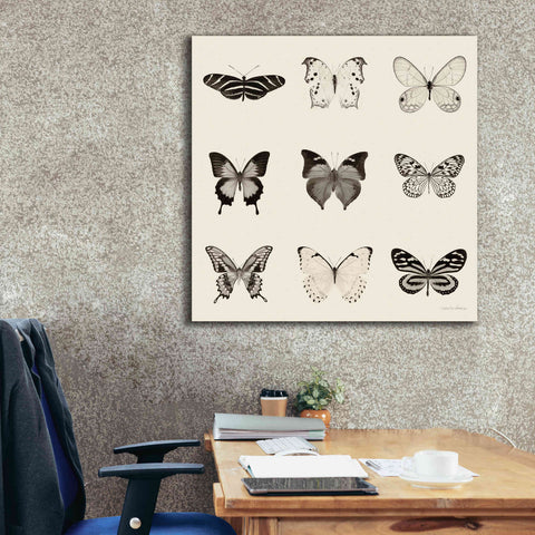 Image of 'Butterfly BW 9 Patch' by Debra Van Swearingen, Canvas Wall Art,37 x 37