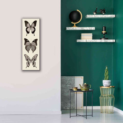 Image of 'Butterfly BW Panel I' by Debra Van Swearingen, Canvas Wall Art,12 x 36