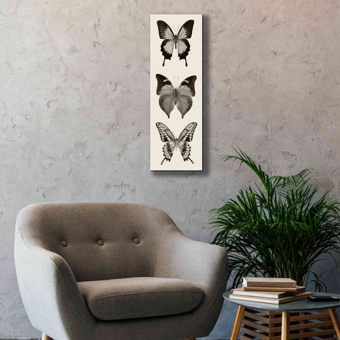 Image of 'Butterfly BW Panel I' by Debra Van Swearingen, Canvas Wall Art,12 x 36