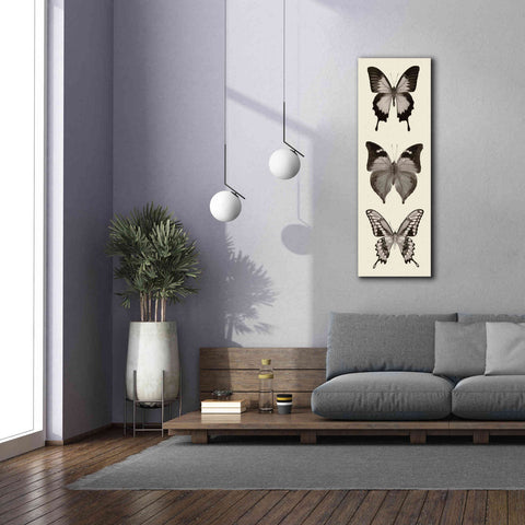 Image of 'Butterfly BW Panel I' by Debra Van Swearingen, Canvas Wall Art,20 x 60