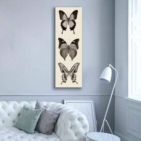 Image of 'Butterfly BW Panel I' by Debra Van Swearingen, Canvas Wall Art,20 x 60
