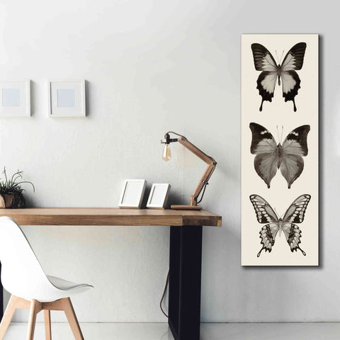 Image of 'Butterfly BW Panel I' by Debra Van Swearingen, Canvas Wall Art,20 x 60