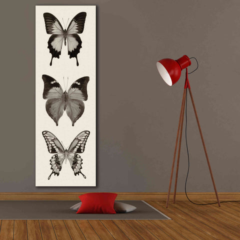 Image of 'Butterfly BW Panel I' by Debra Van Swearingen, Canvas Wall Art,20 x 60