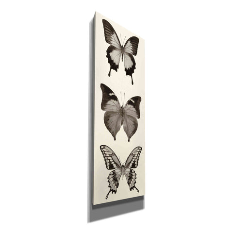 Image of 'Butterfly BW Panel I' by Debra Van Swearingen, Canvas Wall Art,12x36x1.74x0,20x60x1.74x0