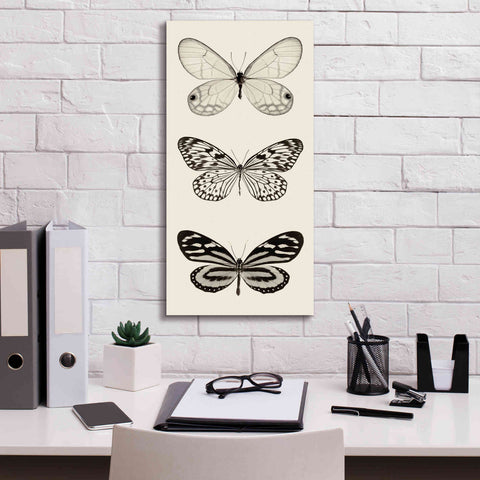 Image of 'Butterfly BW Panel II' by Debra Van Swearingen, Canvas Wall Art,12 x 24