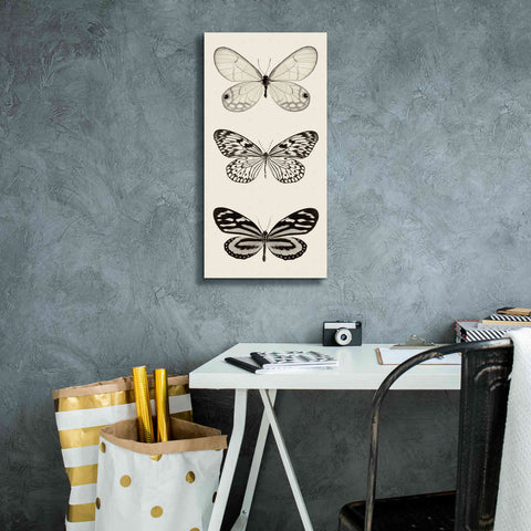 Image of 'Butterfly BW Panel II' by Debra Van Swearingen, Canvas Wall Art,12 x 24