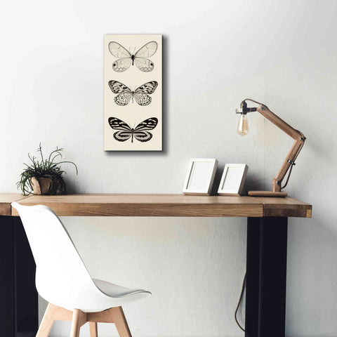 Image of 'Butterfly BW Panel II' by Debra Van Swearingen, Canvas Wall Art,12 x 24