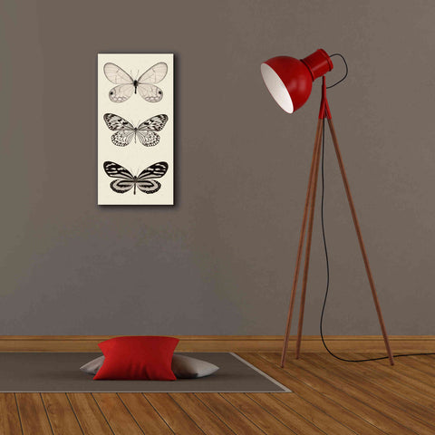 Image of 'Butterfly BW Panel II' by Debra Van Swearingen, Canvas Wall Art,12 x 24