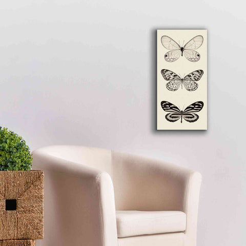 Image of 'Butterfly BW Panel II' by Debra Van Swearingen, Canvas Wall Art,12 x 24