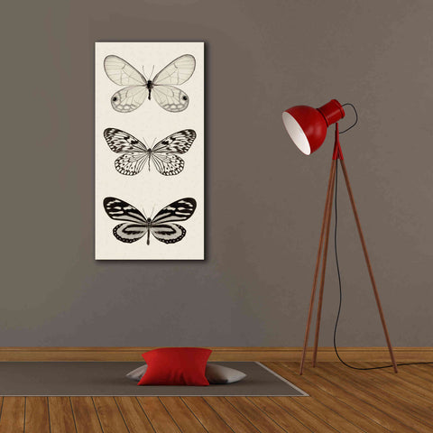 Image of 'Butterfly BW Panel II' by Debra Van Swearingen, Canvas Wall Art,20 x 40