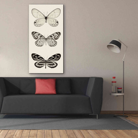 Image of 'Butterfly BW Panel II' by Debra Van Swearingen, Canvas Wall Art,30 x 60