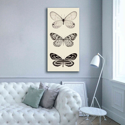 Image of 'Butterfly BW Panel II' by Debra Van Swearingen, Canvas Wall Art,30 x 60