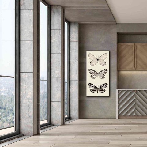 Image of 'Butterfly BW Panel II' by Debra Van Swearingen, Canvas Wall Art,30 x 60