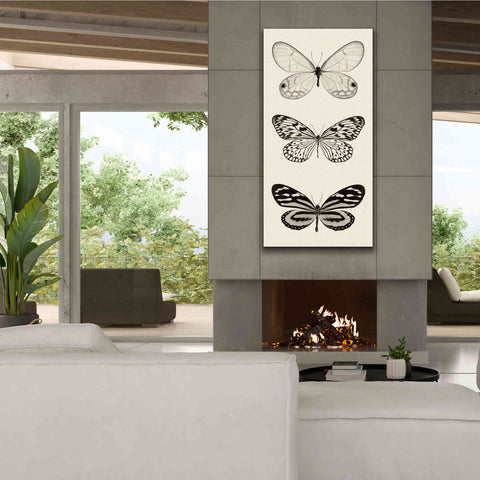 Image of 'Butterfly BW Panel II' by Debra Van Swearingen, Canvas Wall Art,30 x 60