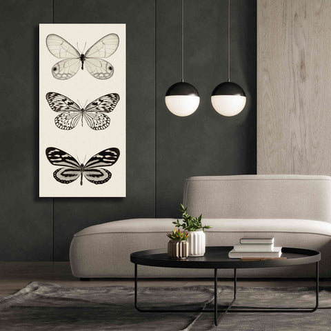 Image of 'Butterfly BW Panel II' by Debra Van Swearingen, Canvas Wall Art,30 x 60