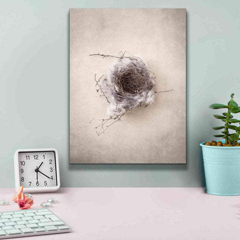 Image of 'Nest III' by Debra Van Swearingen, Canvas Wall Art,12 x 16