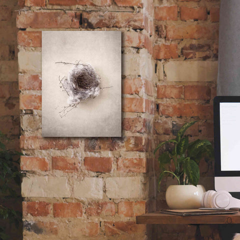 Image of 'Nest III' by Debra Van Swearingen, Canvas Wall Art,12 x 16