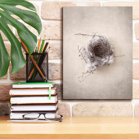 Image of 'Nest III' by Debra Van Swearingen, Canvas Wall Art,12 x 16