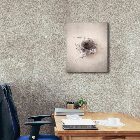 Image of 'Nest III' by Debra Van Swearingen, Canvas Wall Art,20 x 24