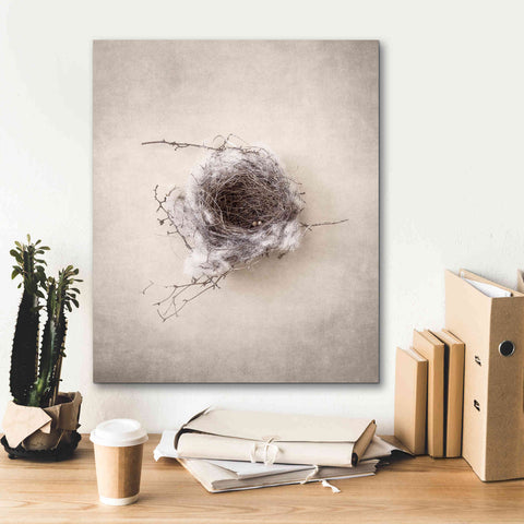 Image of 'Nest III' by Debra Van Swearingen, Canvas Wall Art,20 x 24