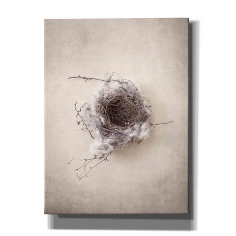 Image of 'Nest III' by Debra Van Swearingen, Canvas Wall Art,12x16x1.1x0,20x24x1.1x0,26x30x1.74x0,40x54x1.74x0