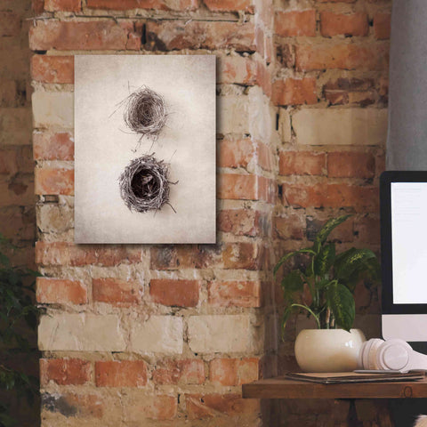 Image of 'Nest IV' by Debra Van Swearingen, Canvas Wall Art,12 x 16