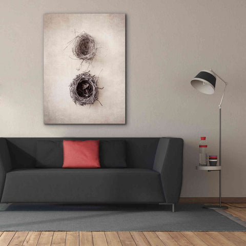 Image of 'Nest IV' by Debra Van Swearingen, Canvas Wall Art,40 x 54