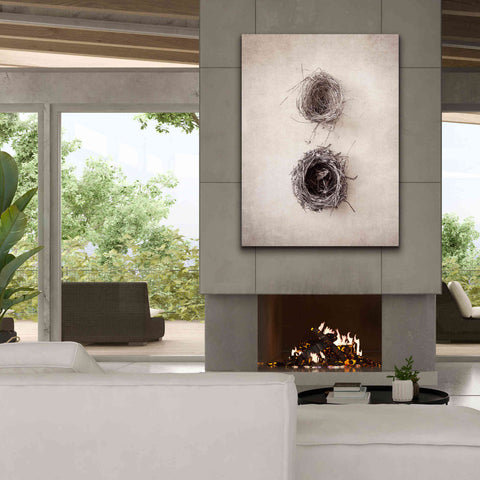 Image of 'Nest IV' by Debra Van Swearingen, Canvas Wall Art,40 x 54