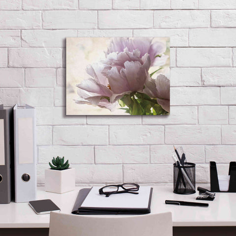 Image of 'Translucent Peony I' by Debra Van Swearingen, Canvas Wall Art,16 x 12