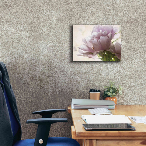 Image of 'Translucent Peony I' by Debra Van Swearingen, Canvas Wall Art,16 x 12