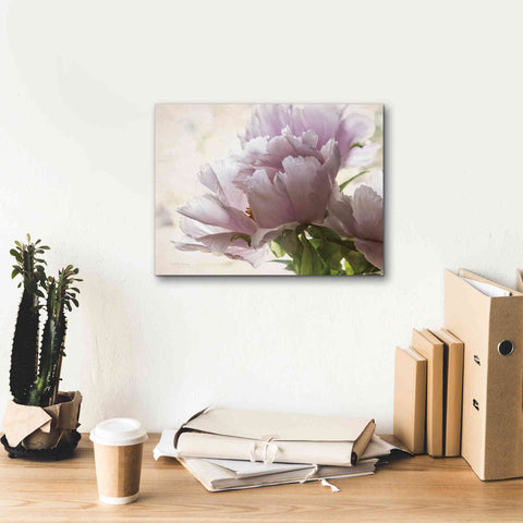 Image of 'Translucent Peony I' by Debra Van Swearingen, Canvas Wall Art,16 x 12