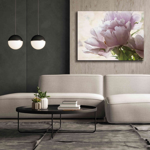 Image of 'Translucent Peony I' by Debra Van Swearingen, Canvas Wall Art,54 x 40