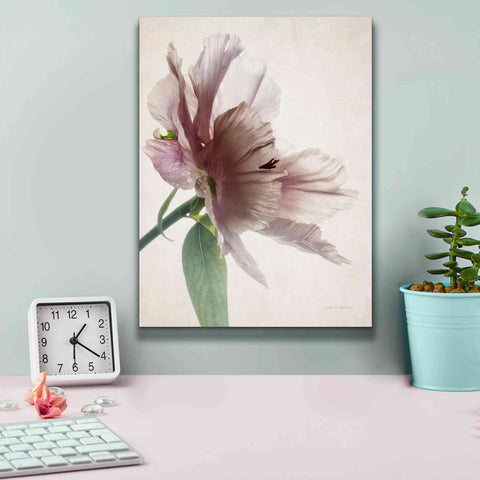 Image of 'Translucent Peony II' by Debra Van Swearingen, Canvas Wall Art,12 x 16