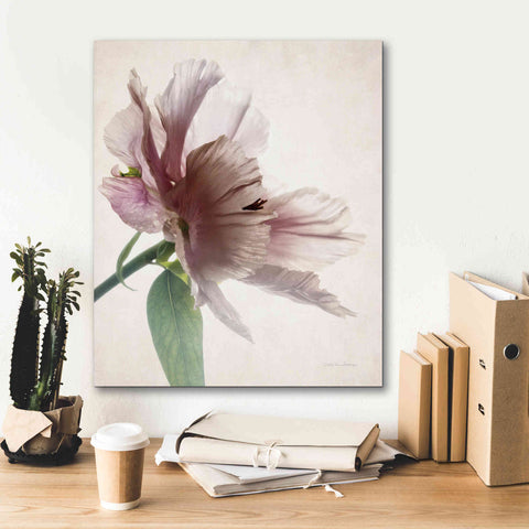 Image of 'Translucent Peony II' by Debra Van Swearingen, Canvas Wall Art,20 x 24